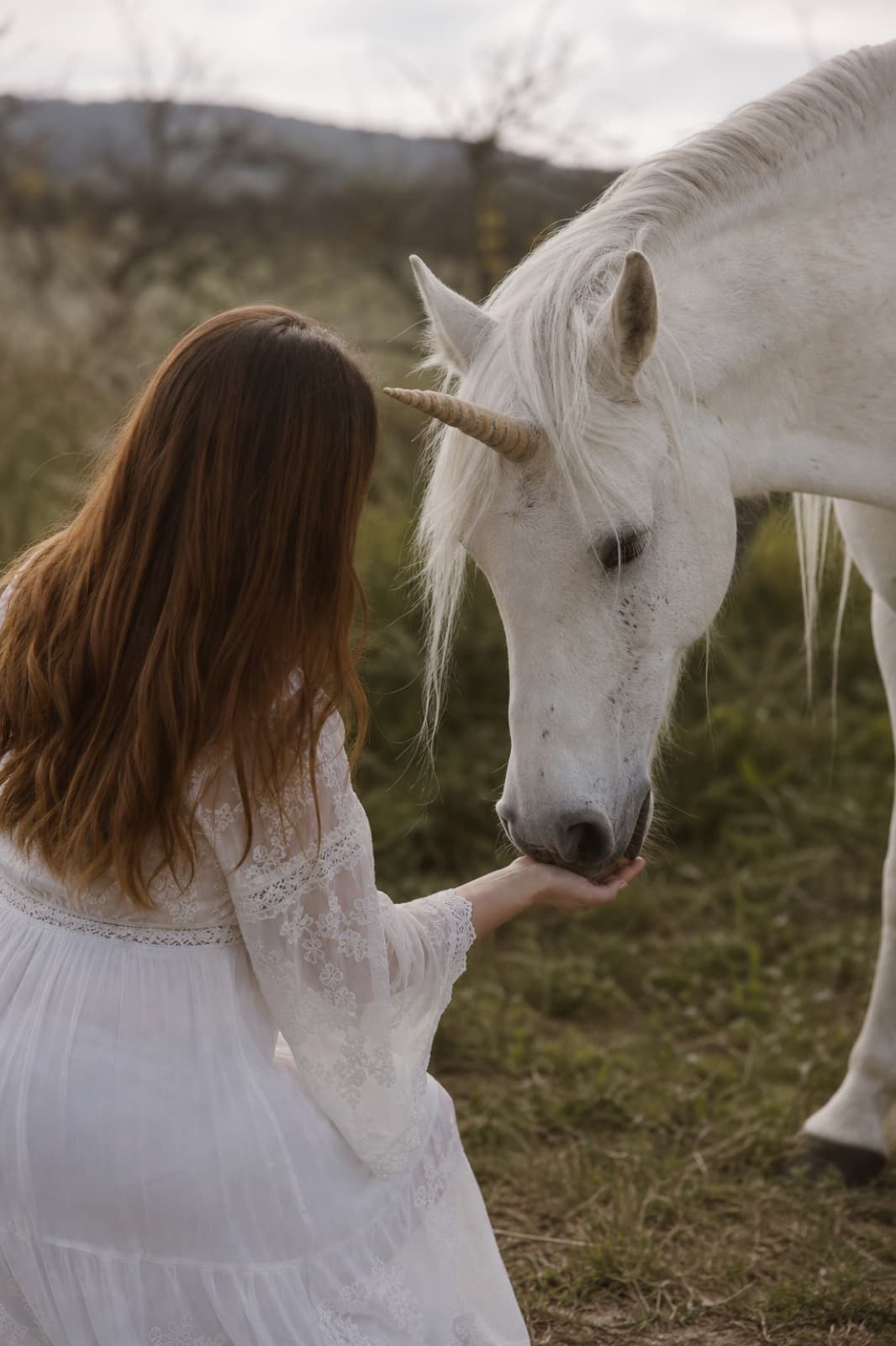 Vrouw met unicorn op een veld, begin van de quiz